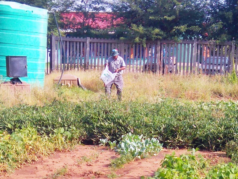 Tsakane Old Age Home